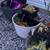 Pond 3 thumbnail
