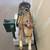 Vintage Sandy Horse 25 Cent Quarter Arcade Ride Coin-Op Carousel Ride 19 thumbnail