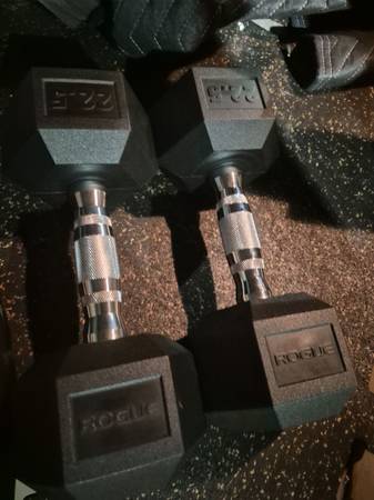 New Rogue 22.5 lbs  dumbells weights 1