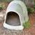 Wanted Dog igloo 2 thumbnail