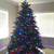 Beautiful Christmas tree 1 thumbnail