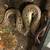 NEED GONE ASAP* Adult Male Ball python/ Reptile enclosure* 3 thumbnail