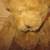 Vermont Teddy Bear 5 thumbnail