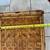 Vintage Bamboo Serving Tray w Cup Holder from Sumatra, Indonesia 8 thumbnail