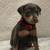 Min pins 11 thumbnail
