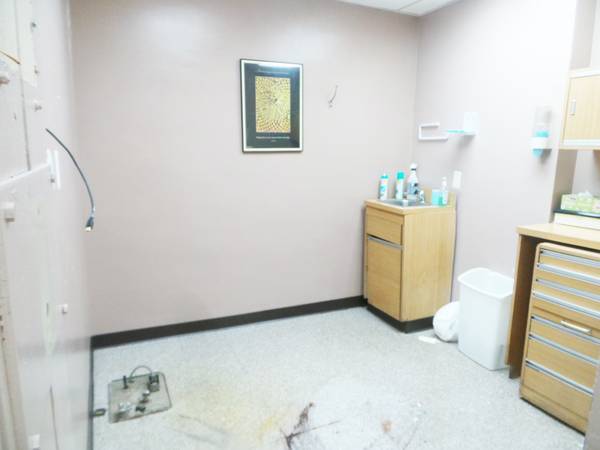 $5,000 / 1250ft2 - Office Space in the Kensington area (Kensington)63912044038786121