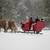 Horse-Drawn Sleigh Rides: Winter Fun for Families, Couples, Groups 9 thumbnail
