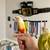 Tamed Conure pair 2 thumbnail