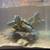 Red ear slider turtle 2 thumbnail