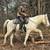 8 yr 14h Registered and Certified Cremello Rocky Mountain Gelding 16 thumbnail