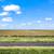 Texas Land 10 Acres – No Credit Check! 3 thumbnail