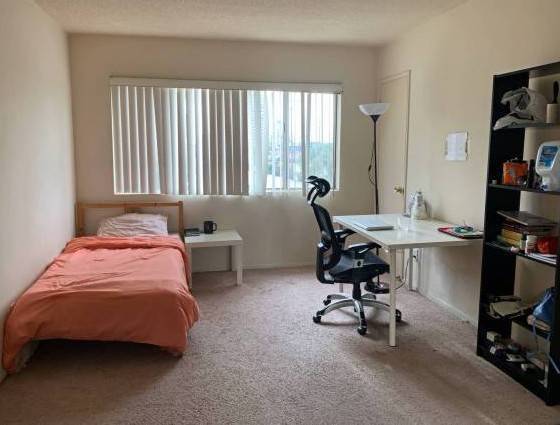 $650 Marvelous Room In BROOKLYN 3Br - Charming Views (Bushwick)63912048337922120