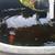 3 koi fish and pond 1 thumbnail
