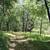 10.82 Acres in the Sierras - Seller Financing 4 thumbnail