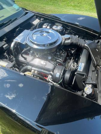 76 Stingray for sale - $16,500 (Oswego)63442738286211121