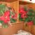 Christmas Decorations 5 thumbnail
