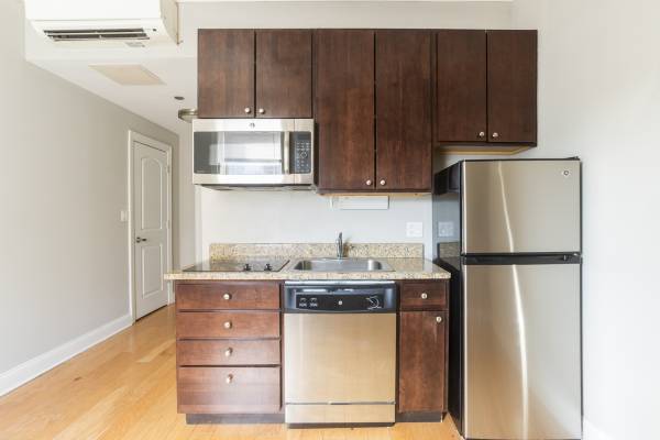 Studio Near UIC Halsted Blue Line 1