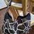 Dooney & Bourke Bag 7 thumbnail