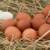 LOCAL HONEY AND EGGS~ALL NATURAL~FARM FOOD~ 2 thumbnail