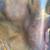 Mickey Mantle signature Baseball glove 2 thumbnail