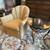 Swivel Chair & Side Table 1 thumbnail