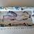 LARGE FISH PAINTING PLATTER 19" X 9" X 2" ITALIAN JRM CERAMICA 1 thumbnail