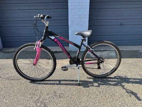 Schwinn Bike 1