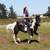 Mobile Horse trainer available 6 thumbnail