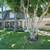Comfortable 1 bed, 1 bath, prime location! 19 thumbnail