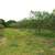 Big Mows! Multi-Acre Mowing, Pastures, Groves, Large Lots, Ditches. 4 thumbnail