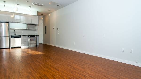 $3,100 Estudio loft grande cerca del paseo marítimo, línea G - Techo / Gimnasio / Almacenamiento de bicicletas / Aire acondicionado (greenpoint)63689844301827121