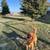 San Mateo Luxury, Remarkable Amenities, Leasing Now 22 thumbnail