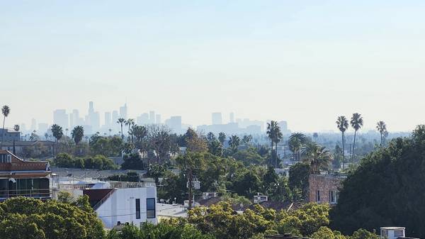 $1,500 1 bedroom in Hollywood view apartment; Available by Oct 1 (Hollywood)63700996797569120
