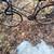 26" Schwinn 10 spd road bike 1 thumbnail