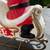 RARE EMPIRE BLOW MOLD SANTA SLEIGH Two Reindeer Blowmold Christmas Outdoor Decor 18 thumbnail