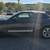 2008 FORD MUSTANG 4.0 SE  CONVERTIBLE POWER TOP 13 thumbnail