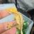 High end geckos with tank 2 thumbnail