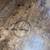 Antique / Vintage RUSTIC Wood Coffee Table Wooden Salt Lick Cobbler 16 thumbnail