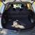 2013 TOYOTA RAV4  XLE SPORT UTILITY 4D 21 thumbnail