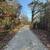 3 Acres For Sale! 1 thumbnail