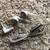 Earbuds Headphones in White 2 thumbnail