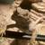 Male bearded dragon 3 thumbnail