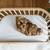 BabyBay Bedside Bassinet NEW w/ Bassinet conversion 2 thumbnail