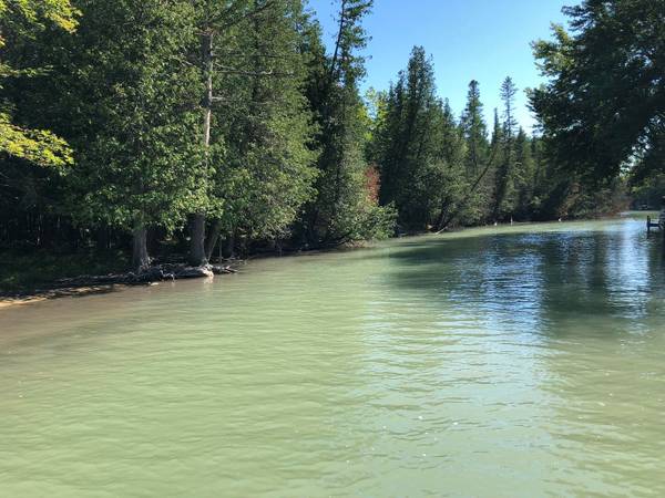 $199,000 / 770140ft2 - 17.68 Acres of Vacant Land on the Crooked River (Alanson)64037723327361121