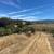 Knoll-Top Orchard Estate Setting In The Corralitos Foothills! 20 thumbnail