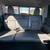 2021 GMC Sierra 1500 Crew Cab  Denali Pickup 4D 5 3/4 ft Truck 23 thumbnail