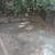 Price reduced! Freshly painted house with laminate flooring, appliance 10 thumbnail