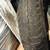 Donut tire and rim 3 thumbnail