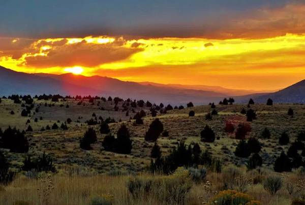 $90,000 / 430000ft2 - 10.33 acre  water electric & sewer  amazing view paved access (John Day)63839291681283120