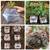 The Coco Depot / GroEzy Coco Coir products on sale! 1 thumbnail